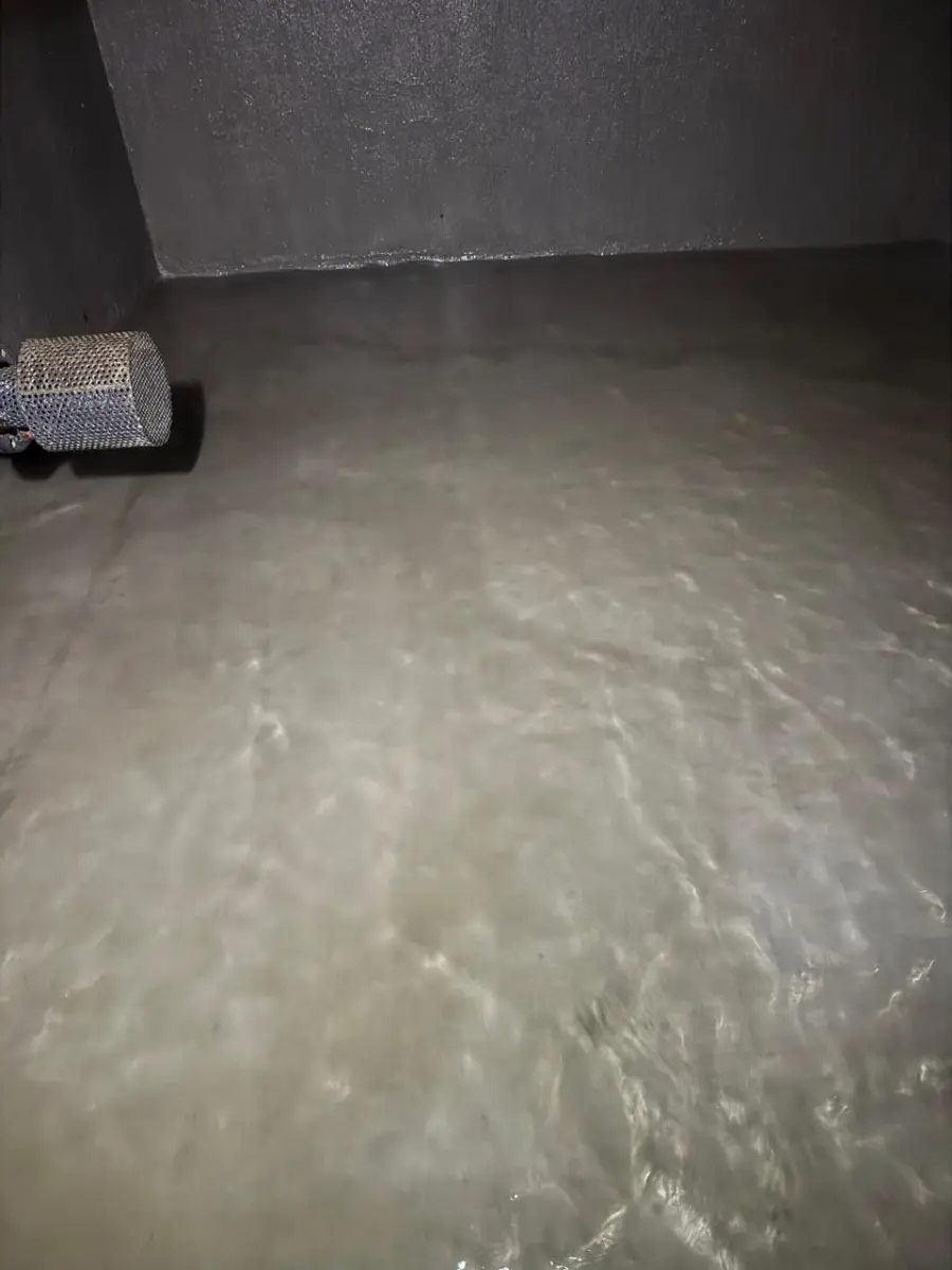 Interior de estanque limpio con la canastilla de succión de la bomba